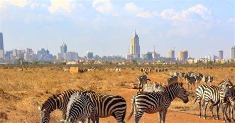 Cheap Flights from Manila to Nairobi Jomo Kenyatta .
